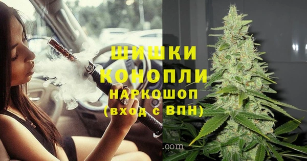 стафф Армянск