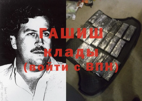 стаф Аркадак