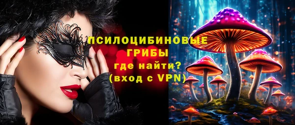 стаф Аркадак