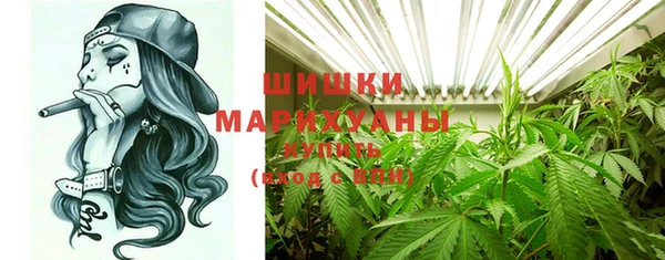 стаф Аркадак