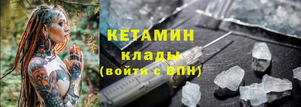 стаф Аркадак