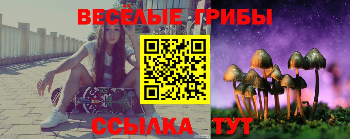 Псилоцибиновые грибы прущие грибы Дмитров