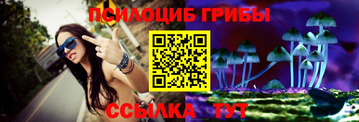 Галлюциногенные грибы Cubensis  Вход с VPN  Псилоцибиновые грибы MAGIC MUSHROOMS  Дмитров 